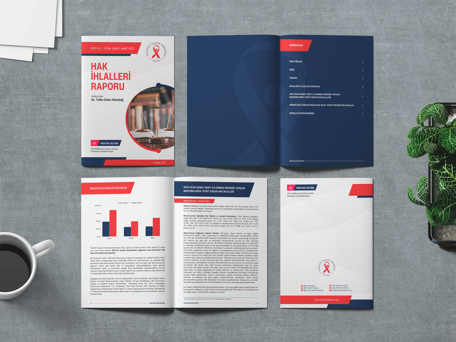 POZİTİF YAŞAM DERNEĞİ · Rapor Tasarımı